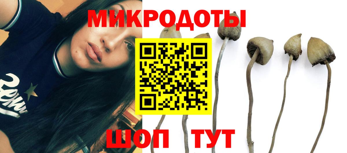 Псилоцибиновые грибы MAGIC MUSHROOMS  Псилоцибиновые грибы Magic Shrooms  Вход с VPN  Котельники 